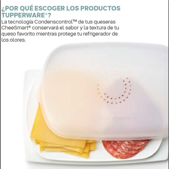 CHEESMART RECTANGULAR BAJA - Picture 2 of 5